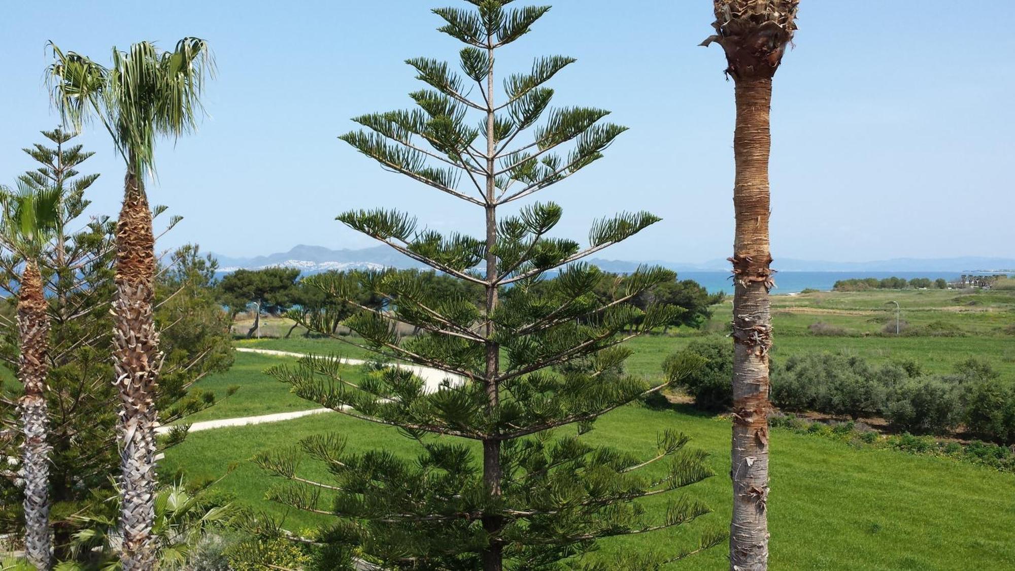 Blue Nest Hotel Tigaki Kültér fotó