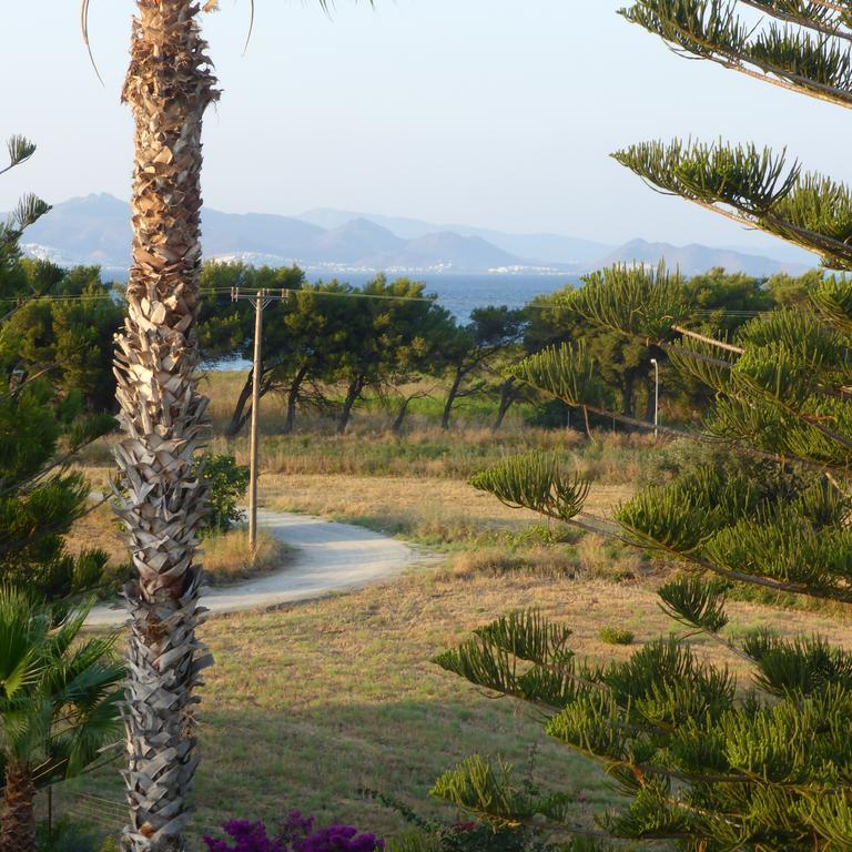 Blue Nest Hotel Tigaki Kültér fotó